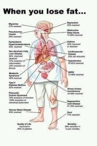 fat--Effects on Health